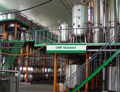 plant extract factory