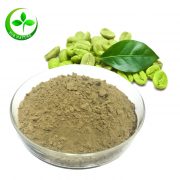 green coffee bean extract powder