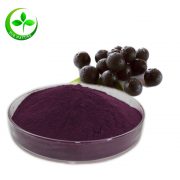 organic acai berry powder