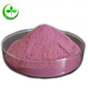 organic blueberry powder